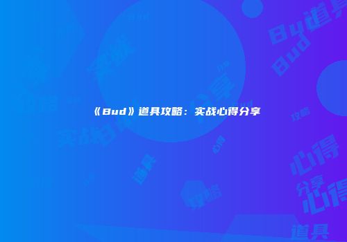 《Bud》道具攻略：实战心得分享