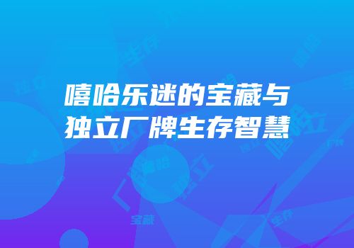 嘻哈乐迷的宝藏与独立厂牌生存智慧