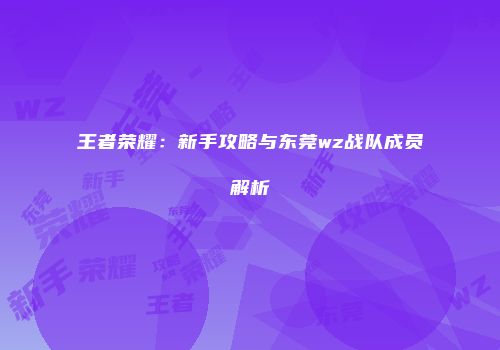 王者荣耀：新手攻略与东莞wz战队成员解析