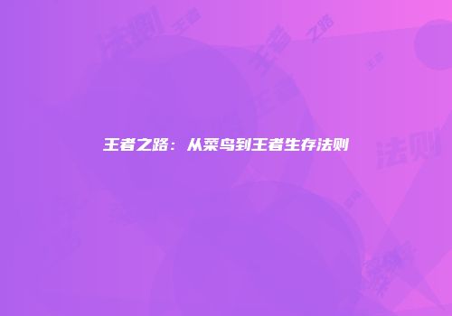 王者之路：从菜鸟到王者生存法则
