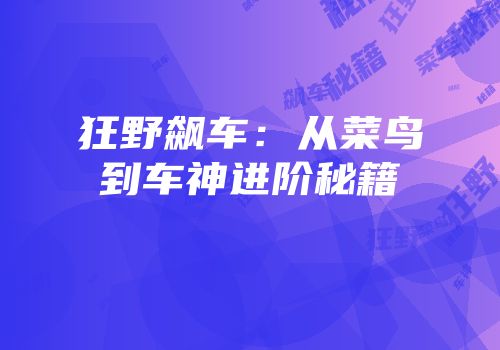 狂野飙车：从菜鸟到车神进阶秘籍