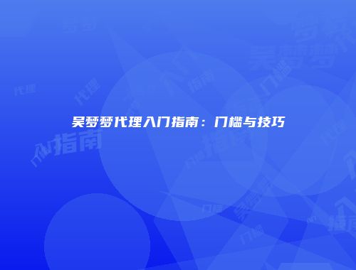 吴梦梦代理入门指南：门槛与技巧