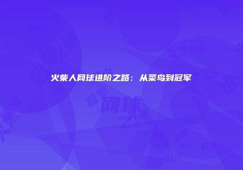 火柴人网球进阶之路：从菜鸟到冠军