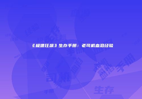 《极速狂飙》生存手册：老司机血泪经验