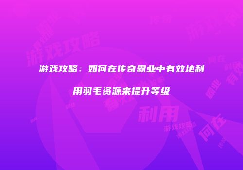 游戏攻略：如何在传奇霸业中有效地利用羽毛资源来提升等级