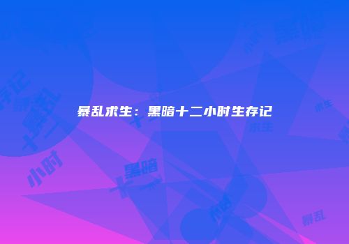 暴乱求生：黑暗十二小时生存记