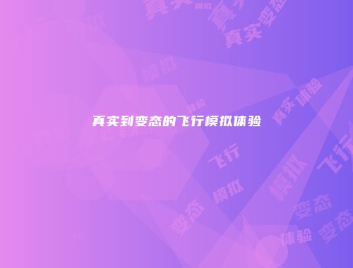 真实到变态的飞行模拟体验
