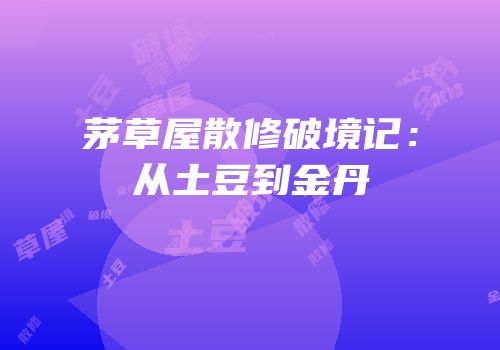 茅草屋散修破境记：从土豆到金丹