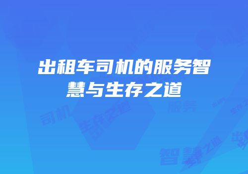 出租车司机的服务智慧与生存之道