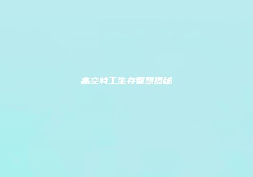 高空特工生存智慧揭秘