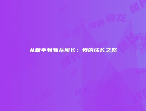 从新手到驯龙团长：我的成长之路