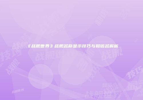 《战舰世界》战舰名称显示技巧与和谐名解析