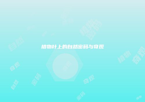 植物叶上的自然密码与奇观