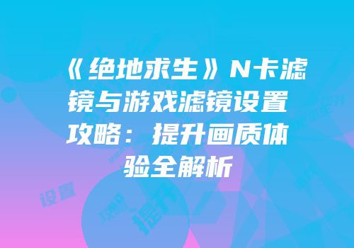 《绝地求生》N卡滤镜与游戏滤镜设置攻略：提升画质体验全解析