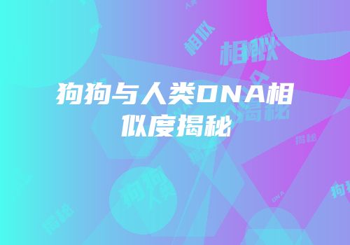 狗狗与人类DNA相似度揭秘