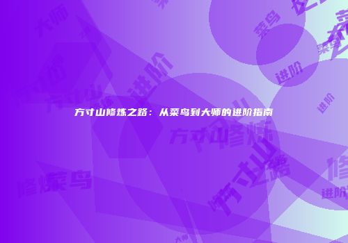 方寸山修炼之路：从菜鸟到大师的进阶指南