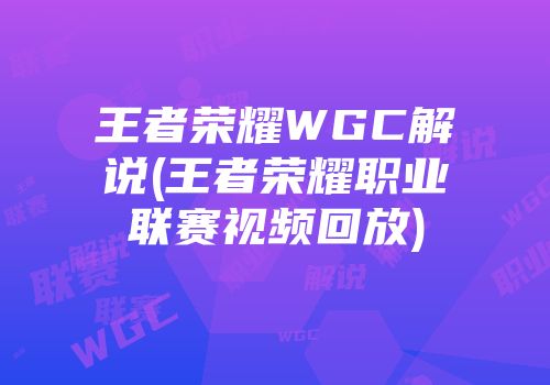 王者荣耀WGC解说(王者荣耀职业联赛视频回放)