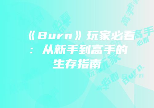 《Burn》玩家必看：从新手到高手的生存指南