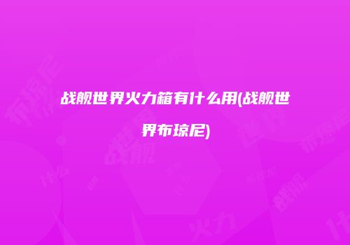 战舰世界火力箱有什么用(战舰世界布琼尼)