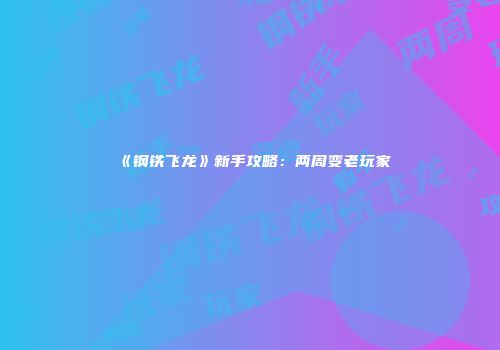 《钢铁飞龙》新手攻略：两周变老玩家