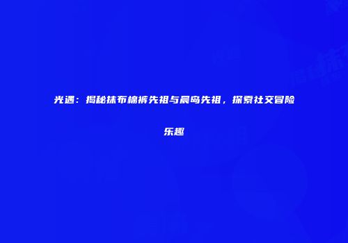 光遇：揭秘抹布棉裤先祖与晨岛先祖，探索社交冒险乐趣