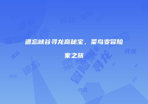 遗忘峡谷寻龙裔秘宝，菜鸟变冒险家之旅