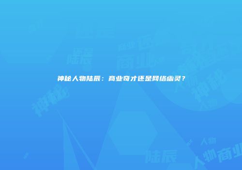 神秘人物陆辰：商业奇才还是网络幽灵？