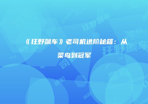 《狂野飙车》老司机进阶秘籍：从菜鸟到冠军