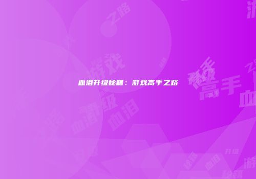 血泪升级秘籍：游戏高手之路