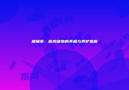 捕蝇草：食肉植物的真相与养护指南