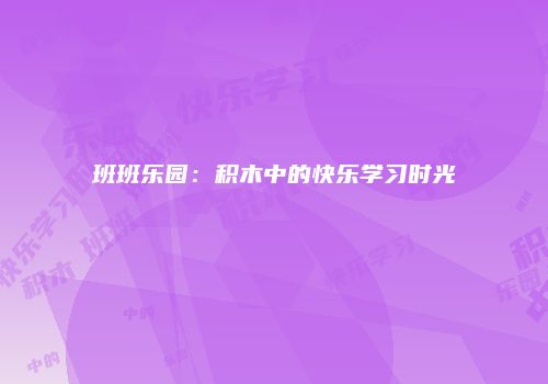 班班乐园：积木中的快乐学习时光