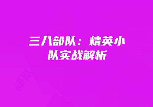 三八部队：精英小队实战解析
