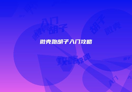 微壳跑胡子入门攻略