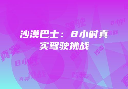 沙漠巴士：8小时真实驾驶挑战