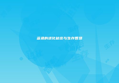 鲨鱼的进化秘密与生存智慧