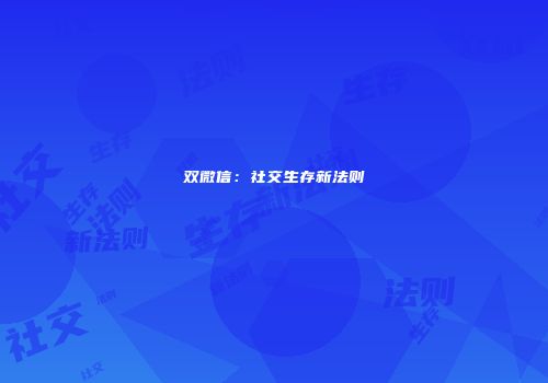 双微信：社交生存新法则