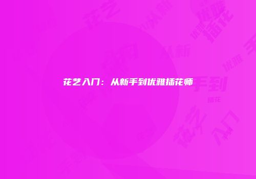 花艺入门：从新手到优雅插花师