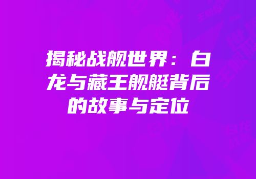 揭秘战舰世界：白龙与藏王舰艇背后的故事与定位