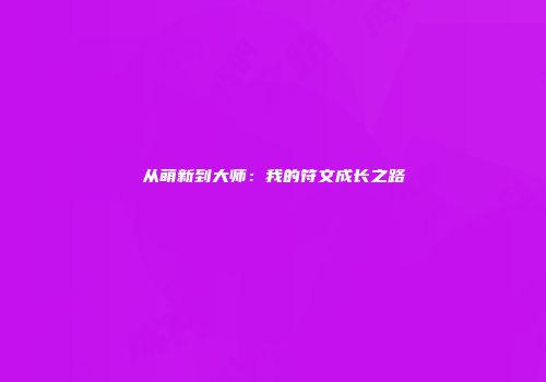 从萌新到大师：我的符文成长之路
