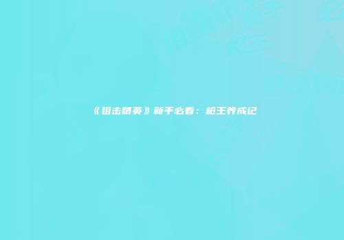 《狙击精英》新手必看：枪王养成记