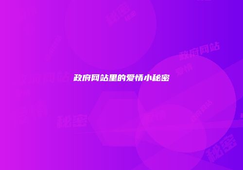政府网站里的爱情小秘密