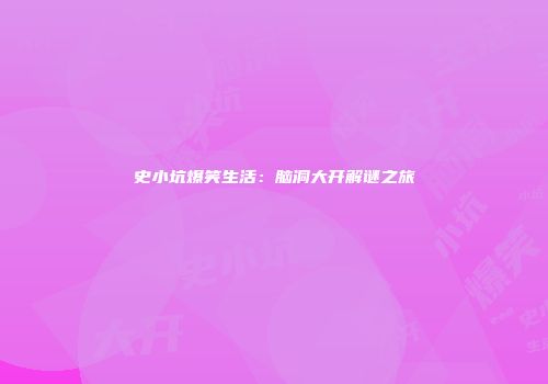 史小坑爆笑生活：脑洞大开解谜之旅