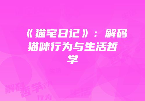《猫宅日记》：解码猫咪行为与生活哲学