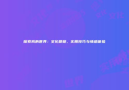探索我的世界：文化精髓、实用技巧与情感体验