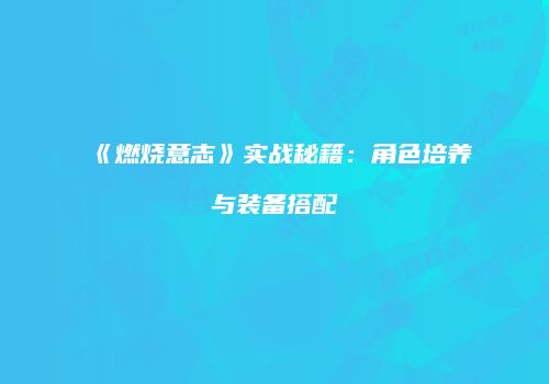 《燃烧意志》实战秘籍：角色培养与装备搭配