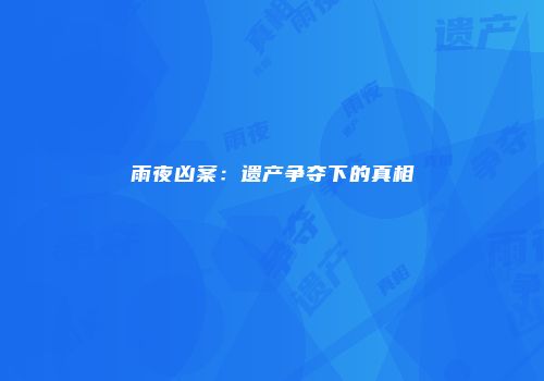 雨夜凶案：遗产争夺下的真相