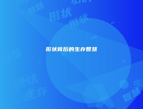 形状背后的生存智慧