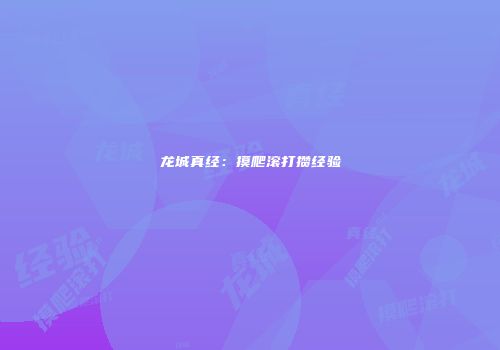 龙城真经：摸爬滚打攒经验