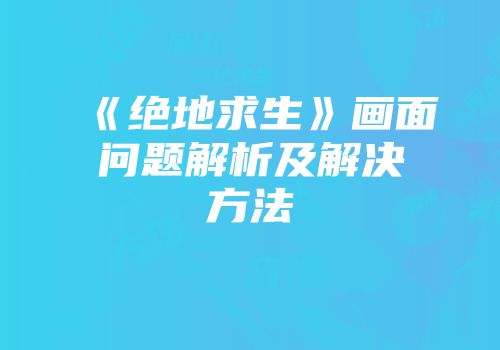 《绝地求生》画面问题解析及解决方法