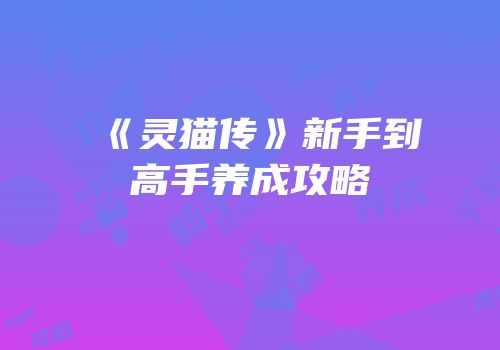 《灵猫传》新手到高手养成攻略